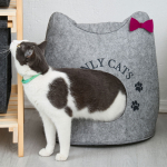 ДОМИК ДЛЯ ЖИВОТНЫХ "УШАСТИК ONLY CATS" ЗД020 — изображение 2