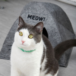 ДОМИК ДЛЯ ЖИВОТНЫХ "ПАЛАТКА MEOW" ЗД031 — изображение 2